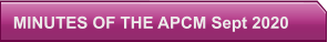 MINUTES OF THE APCM Sept 2020