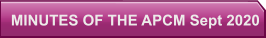 MINUTES OF THE APCM Sept 2020